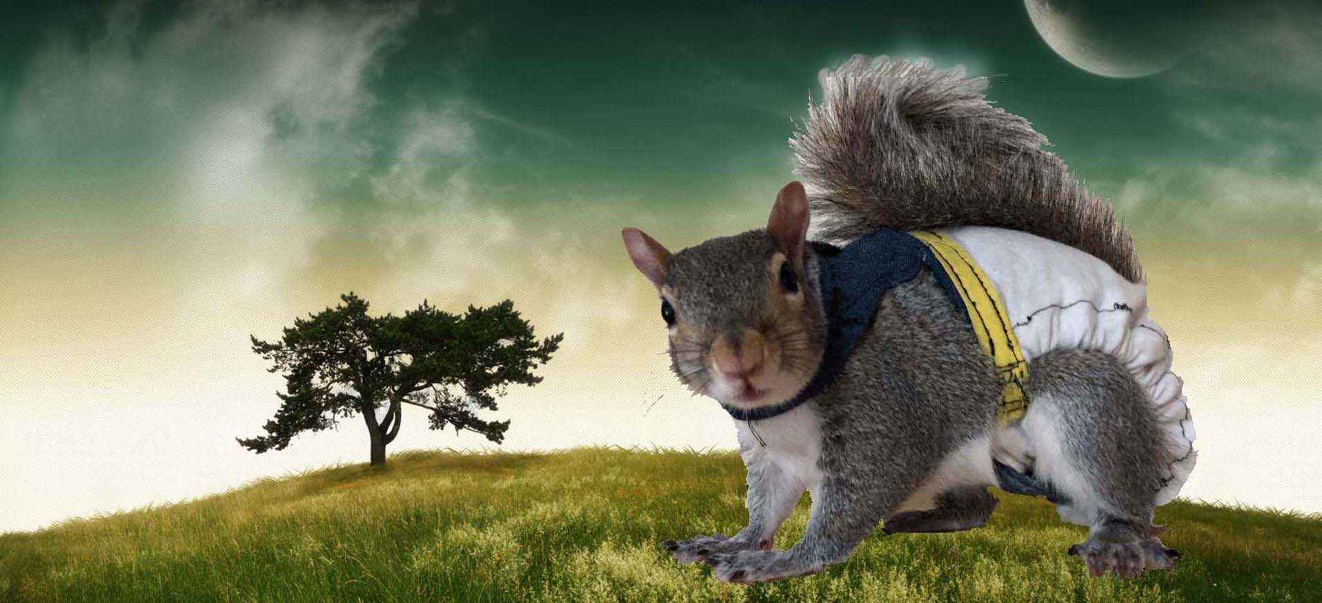 Super Squirrel Girl Rue