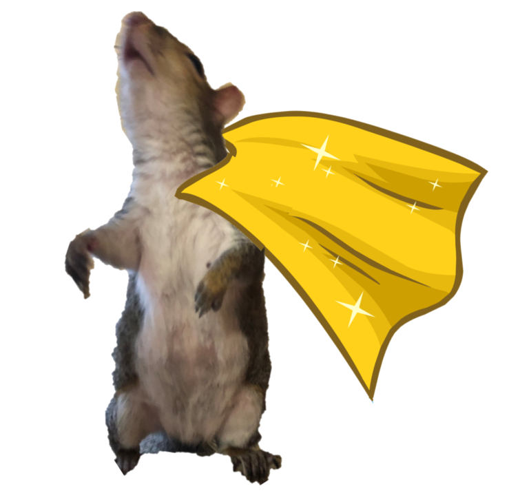 SuperSquirrelGirlRue
